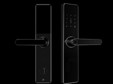 青松沃德-Wi-Fi 指紋鎖家用防盜門智能門鎖密碼鎖刷卡電子鎖 防磁干擾 防撬 L9-WT (不含鎖體，鎖體需另購）